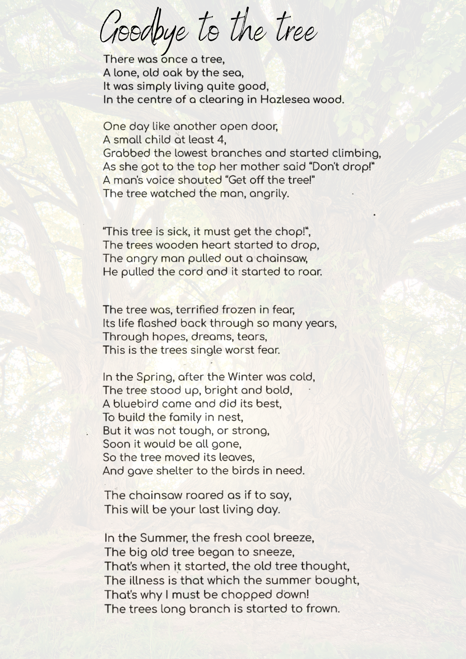 Year 7 Nature Enthusiast pens delightful tribute to a Tree in a Young Writers Competition.