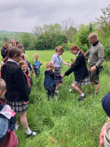 Pipers Corner School Embraces Woodland Trust's Free Trees Initiative