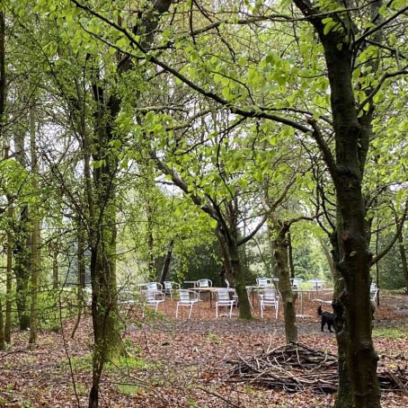 Forest Classroom