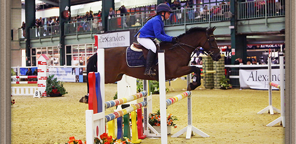 Showjumping success